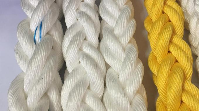 多彩のプラスチッククライミンググリップ 子供のための遊び場クライミングウォール 7