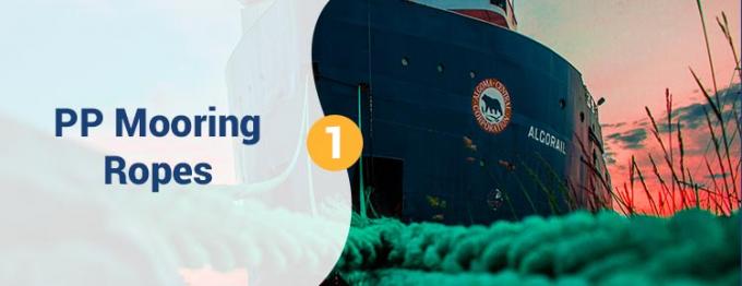 卸売 220 M 白色 高強度PPポリプロピレン 8 糸 68 mm 牽引用固定ロープ 0