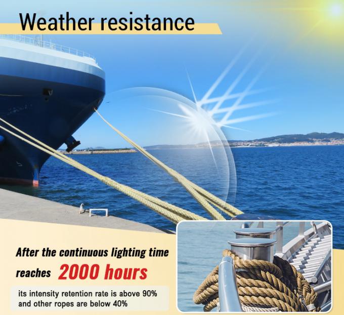 高強度 10mm 12mm 12 ストランド Uhmwpe 繊維ウィンチ 帯状線 海上帆ロープヨット 1