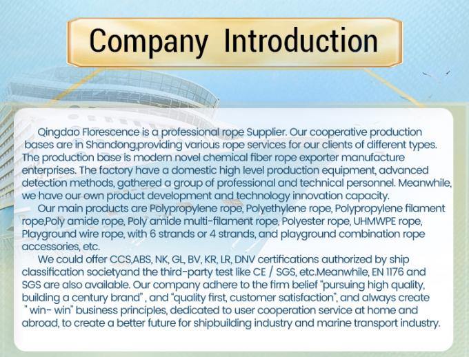 高強度 10mm 12mm 12 ストランド Uhmwpe 繊維ウィンチ 帯状線 海上帆ロープヨット 8
