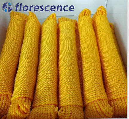 卸売 高張力 有色 PE 3 糸ポリエチレン 曲がったロープ